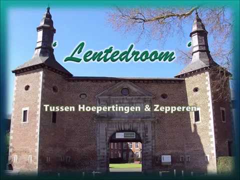 Lentedroom - Hoepertingen en Zepperen, bloesems
