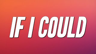 Regina Belle - If I Could (Lyrics)