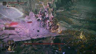 エルデンリング　ボス戦　接ぎ木のゴドフロア