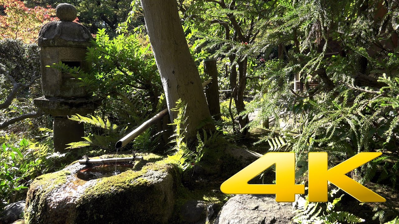 Tokyo Relaxing video of a traditional Japanese Garden in Shibuya