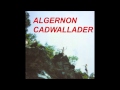 Algernon Cadwallader- Foggy Mountain 