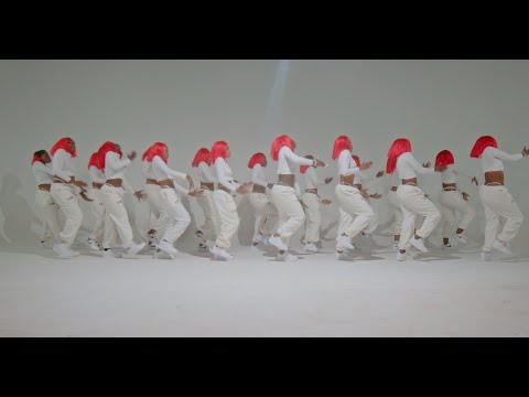 Rayvanny ft Luana Vjollca - Pele Pele (Official Dance)