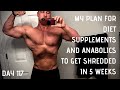 MY PLAN FOR DIET SUPPLEMENTS AND ANABOLICS TO GET SHREDDED IN 5 WEEKS DAY 117