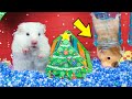 Hamster Race Escape POPIT Christmas Maze