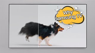 Samsung Why Samsung TV: Compare and See the Answer