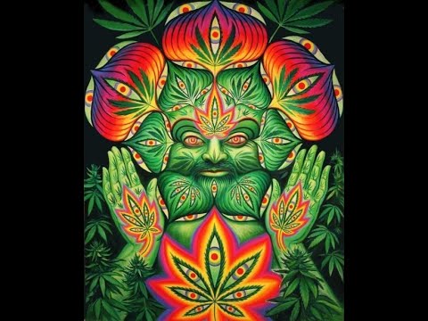 CANCIONES para SMOKE WEED EVERYDAY | Mix Español 2019 #8 | Orgullo cannábico