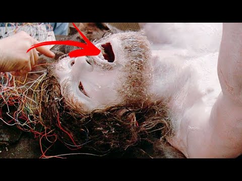 No One Was Supposed to Find This! Shocking Discoveries in the Ice