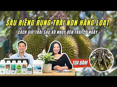 SẦU RIÊNG RỤNG TRÁI NON HÀNG LOẠT - Lựa Chọn TỐT NHẤT Cho Nông Dân Lúc Này?