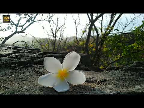 වෙනදට නොකියන | Edward Jayakodi & Uresha Ravihari