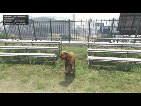 comment prendre le chien dans gta 5