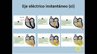 PA y ECG 2 - Cardiovascular y respiratorio