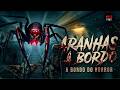 Spiders On A Plane Panic In The Heights 2024 Horror Suspense Full Movie Dubbed