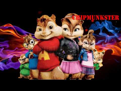 Lady Bee ft. I Am Aisha & Dio - Niemand Heeft Tijd [CHIPMUNKVERSIE]