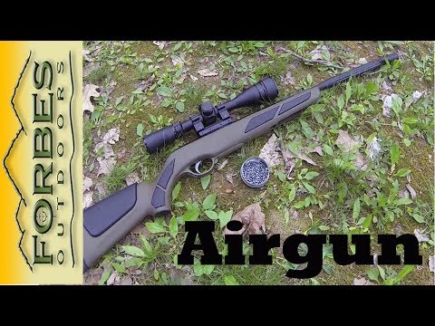 Fun with a Gamo Air Rifle