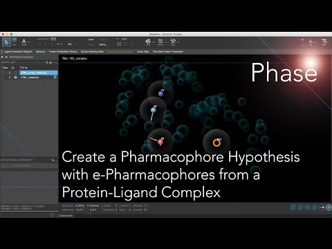 Create a Pharmacophore Hypothesis - With e-Pharmacophores from a Protein-Ligand Complex