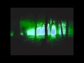 Shakedown - At Night 