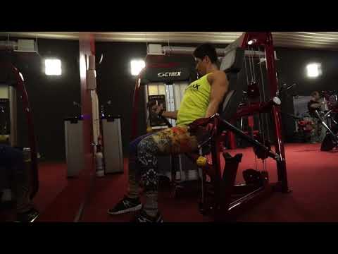 Arm Curl CYBEX - DynaMaxX