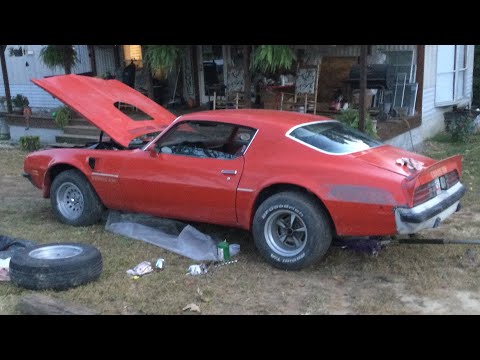 My Trans Am gets a real set of wheels