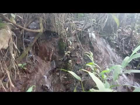 cachoeira da região de Orizona, Goiás 