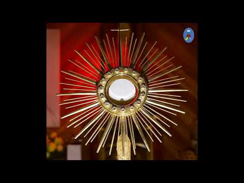 Czatachowa 05.11.2022 - Spotkanie formacyjne -  Różaniec Jezusowy