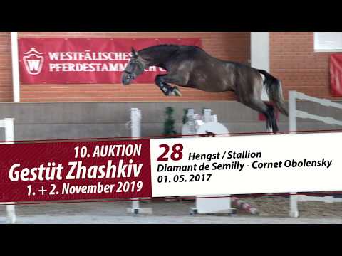 28 Hengst / Stallion v. Diamant de Semilly - Cornet Obolensky