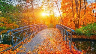 Autumn, Acoustic Guitar instrumental Indie/-Folk Relaxing Music gameplay video by Rdale Demo, 107:20 duration