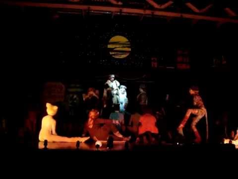 El trato de un gato - Cats