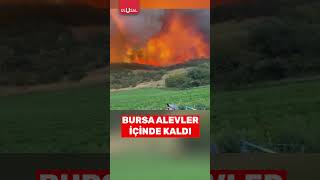 Bursa'da çıkan orman yangını kısa sürede büyüdü #shorts #bursa #yangın