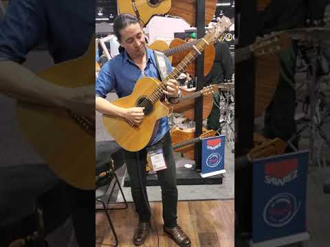 Fly me to the moon ( Dani Vargas , play fingers style jazz)