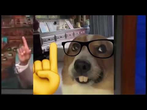 We're having an earthquake meme