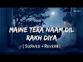 Maine Tera Naam Dil Rakh Diya Slowed Reverb Raghav Chaitanya Ek Villain Returns SR Lofi