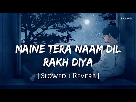 Maine Tera Naam Dil Rakh Diya (Slowed + Reverb) | Raghav Chaitanya | Ek Villain Returns | SR Lofi