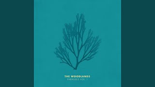 Making Love on the Mountain (Sexy Mix)