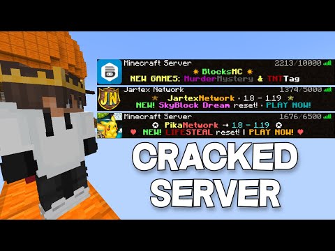 So I Tried CRACKED Minecraft Servers..