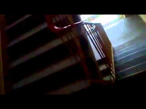 AWANTURA U ŚWISTAKA