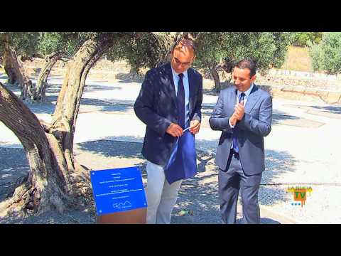 10/07/13 – La Nucía da el nombre del Rector de la UA a un Olivo del CEM por su apoyo al proyecto