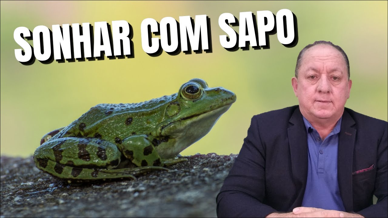 O QUE SIGNIFICA SONHAR COM SAPO