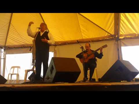 Peters the Cat joined the Value Added Congress