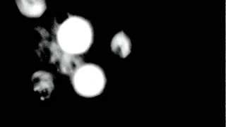 CULTFEVER - &quot;KNEWYOUWELL&quot;