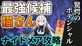 【ルフランの地下迷宮と魔女ノ旅団】初見で遊びつくそう！難易度ナイトメア【ver7】