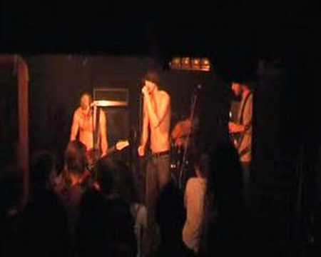 Tarentatec - Lizard + Tear