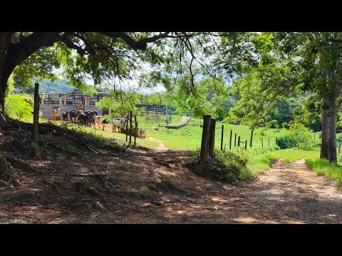 INTERIOR DE MINAS GERAIS, IAPU, QUEM TE VIU QUEM TE VÊ, UM PARAISO NA NOSSA REGIÃO.