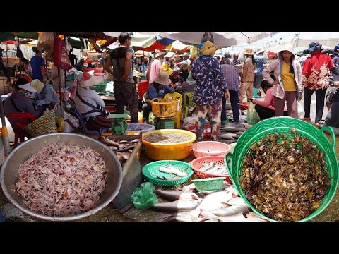 Cambodian Fish Market Scene - Daily Lifestyle of Vendors Selling Fish, Seafood & More in Fish Market