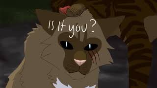 personal (heavy is the cost) - stars (slowed)