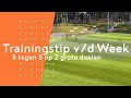 5 tegen 5 op 2 grote doelen | Maarten Stekelenburg | Trainingstip v/d Week #6