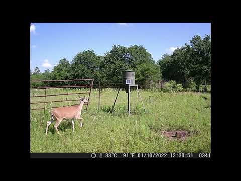 Punvoe LK226/PV226：Photos taken