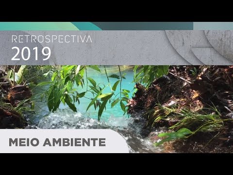 Retrospectiva 2019: meio ambiente