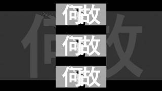 「弱酸性 Live Tour 2026 廻ってみた」一般チケット発売中！ヒウマノイドズヒウマニズム 歌ってみた #梟note #弱酸性 #音楽好きと繋がりたい #バズれ #ツミキ