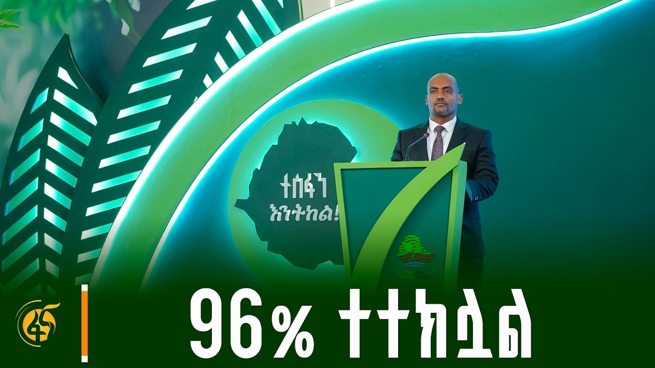 በርካታ ሄክታር መሬት በደን ተሸፍኗል