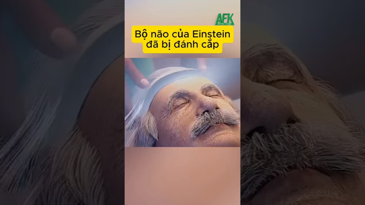 Bộ não của Einstein đã bị đánh cắp